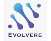 Evolvere Consulting AB