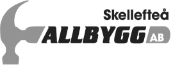 Skellefteå Allbygg Invest AB