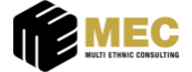 Multi Ethnic Consulting AB