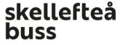 Skellefteå Buss AB